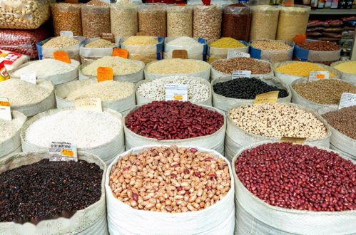 联合国粮农组织 食品价格指数九月继续上涨 谷物产量将创新高